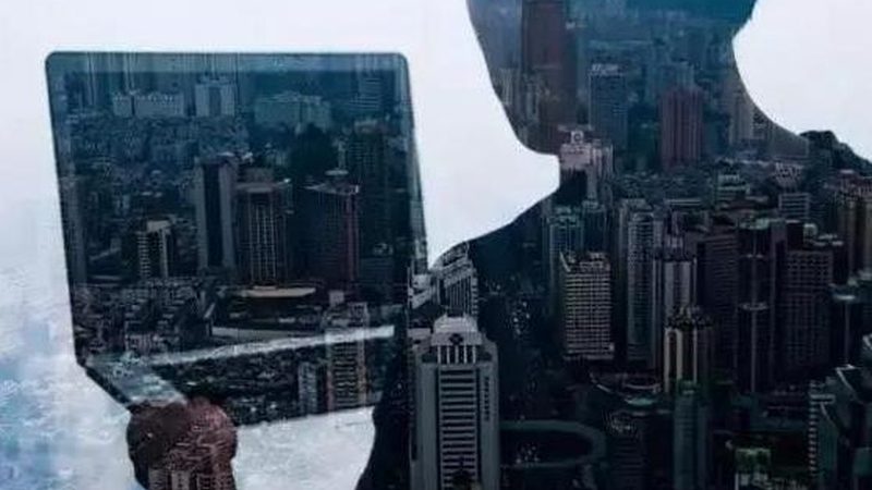 社交电商新势力：平台排名背后的逻辑与策略